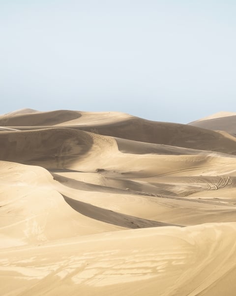 Honpo | Sand Dune