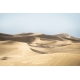 Honpo | Sand Dune