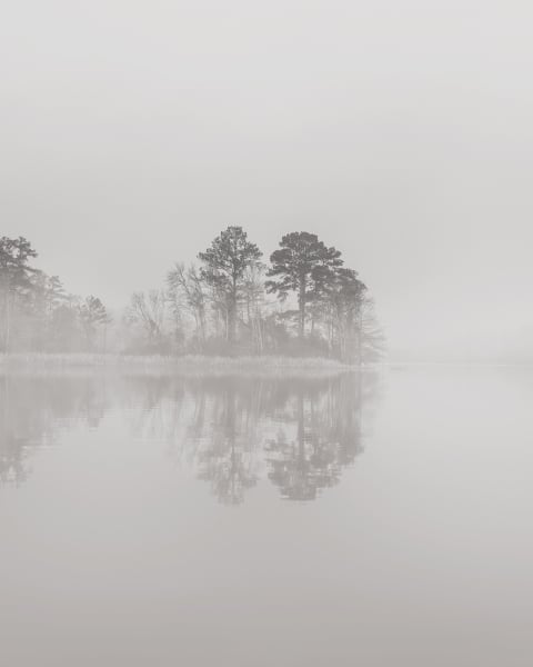 Honpo | Silent Water