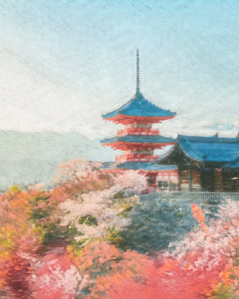 Honpo | Spring in Kyoto