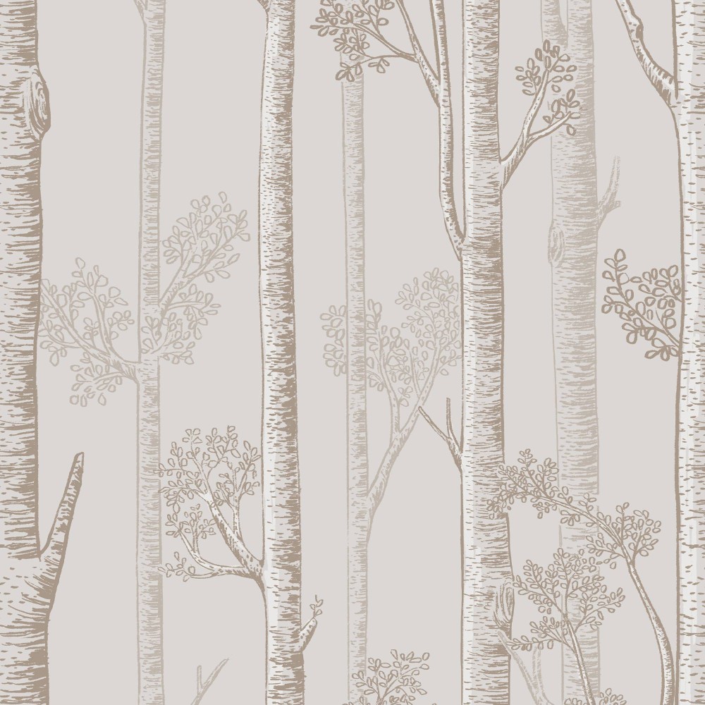Honpo | Silver Birch Trees