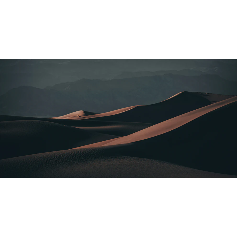 Honpo WP | Desert Noir