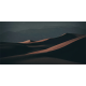 Wild Palace | Desert Noir
