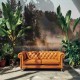 Wild Palace | Mirrorpine