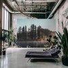 Honpo WP | Mirrorpine