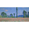 Honpo WP | Poppy Field