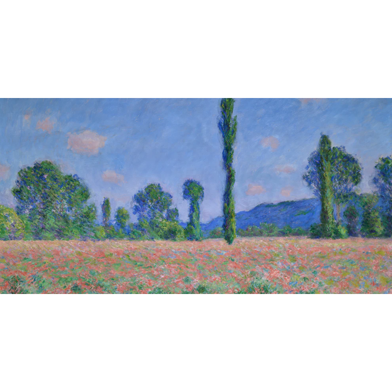 Honpo WP | Poppy Field