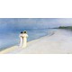 Wild Palace | Summer Evening on Skagen’s Southern Beach – P.S. Krøyer (1893)