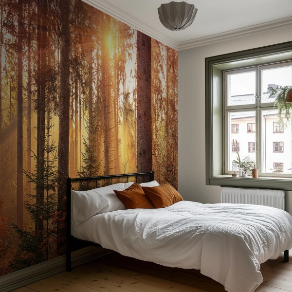 Honpo WP | Sunspire