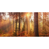Honpo WP | Sunspire