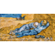 Wild Palace | The Siesta – Vincent van Gogh (1890)