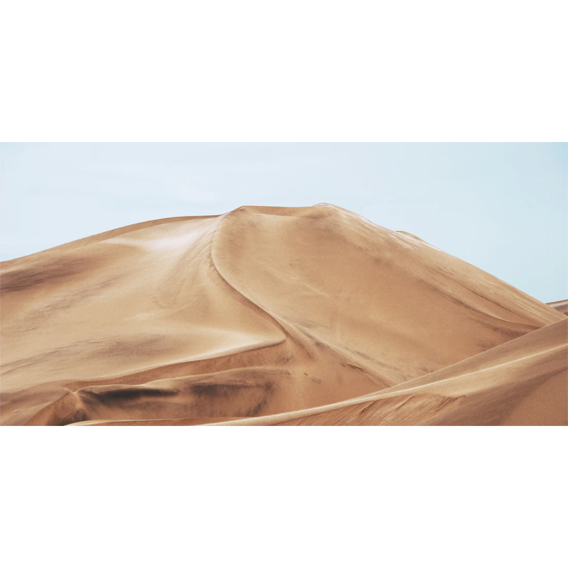 Honpo WP | Whispers in the Dunes