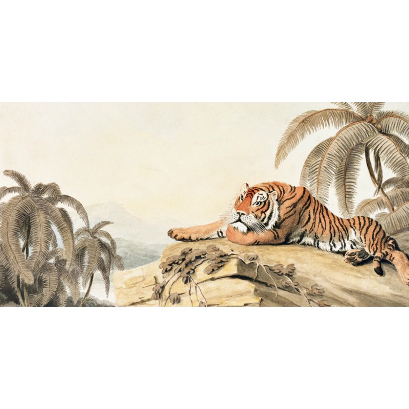 Honpo wp | A Tiger Resting – Samuel Howitt (1807)
