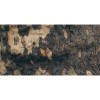 Honpo WP | Ironwood