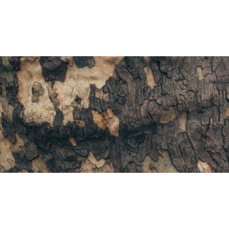 Honpo WP | Ironwood