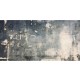 Wild Palace | Ashfield Rust