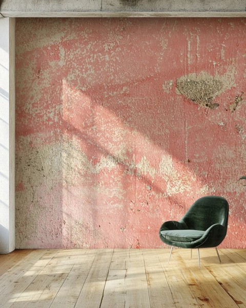Wild Place | Rose Plaster