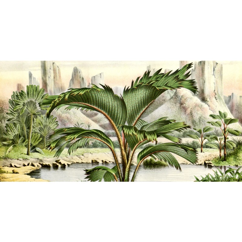 Honpo WP | Flora of European Greenhouses and Gardens – Louis Van Houtte (mid-19th century)