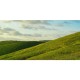 Honpo WP | Hillshade
