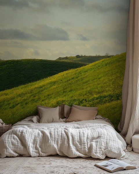 Honpo WP | Hillshade