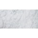Wild Palace | Aurelia Marble
