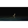 Honpo WP | Moonwake