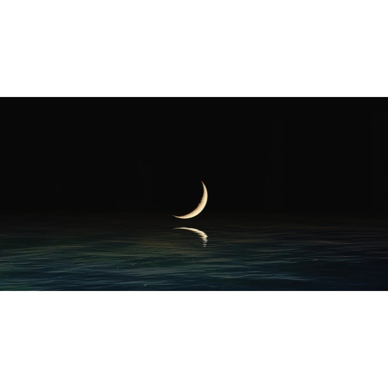 Honpo WP | Moonwake