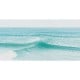 Wild Palace | Seafoam Fade