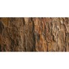 Honpo WP | Earthline