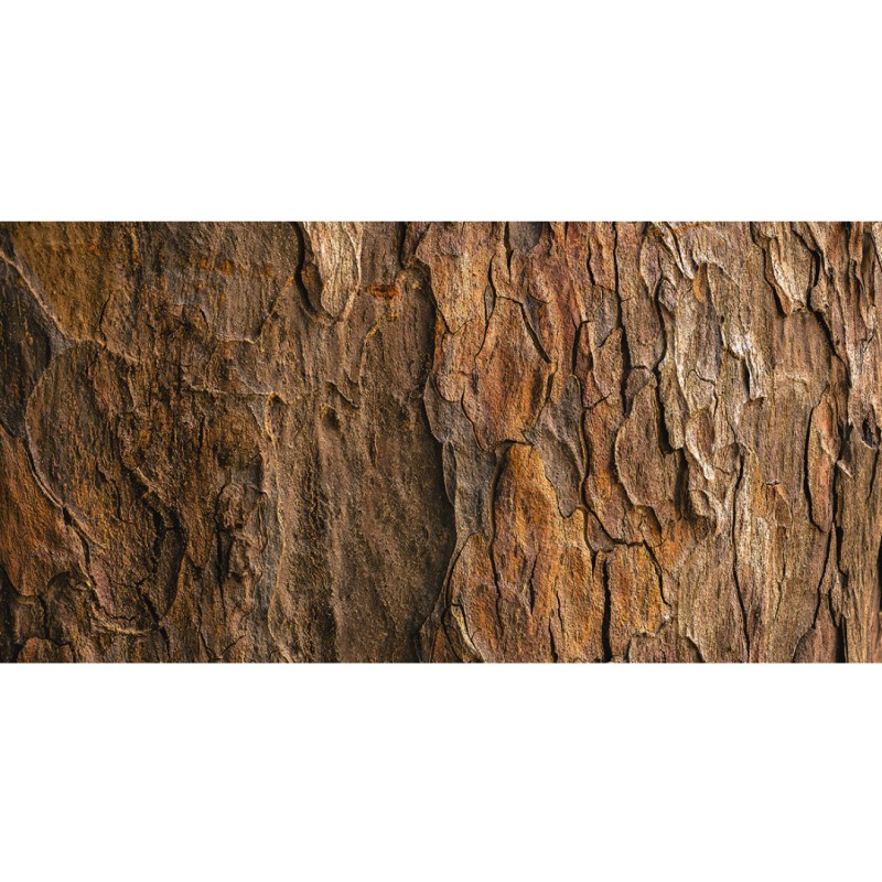 Honpo WP | Earthline