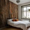 Honpo WP | Earthline