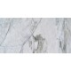 Wild Palace | Carrara Veil Marble