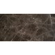 Wild Palace | Obsidian Lineage Black Marble