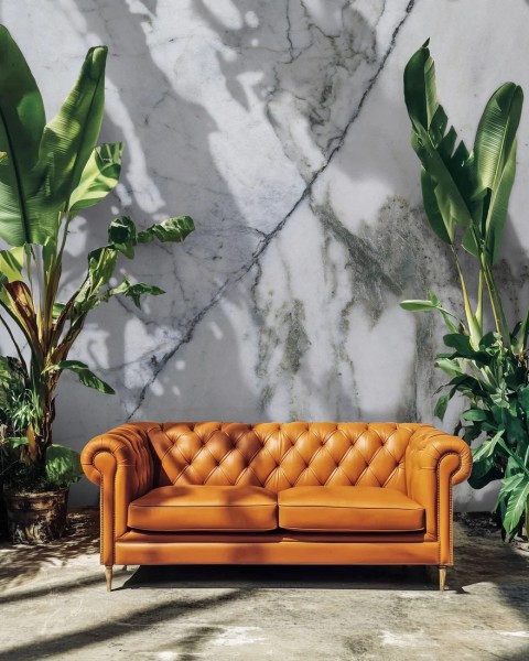 Honpo WP | Carrara Veil Marble
