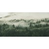 Honpo WP | Mistridge