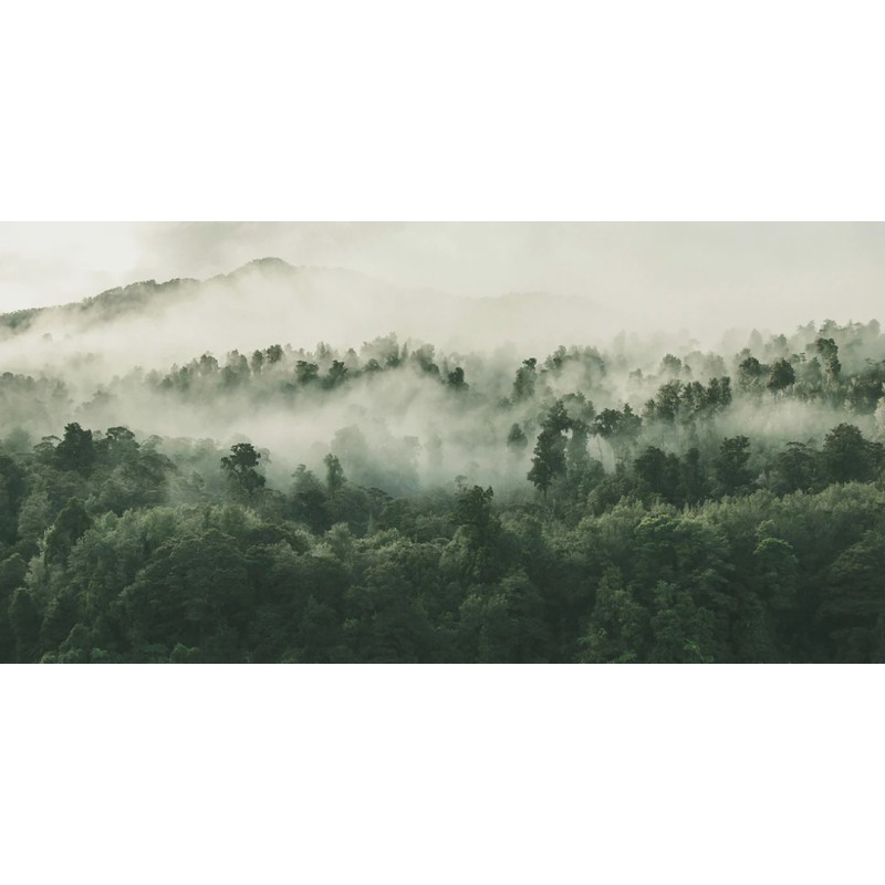 Honpo WP | Mistridge