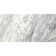 Wild Palace | Florence Echo Marble