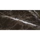 Wild Palace | Noir Strata Black Marble
