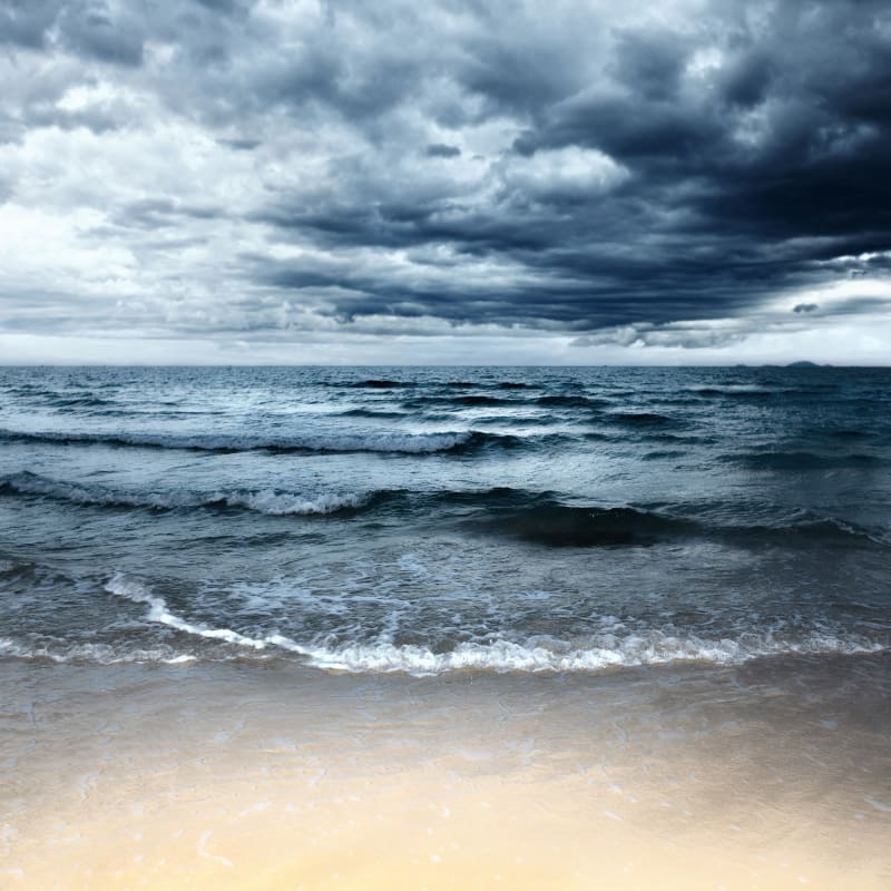 Sea