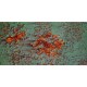 Wild Palace | Greensteel Rust