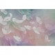 Honpo YL | Celestial Drifts
