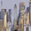 Honpo YL | Gilded Skyline