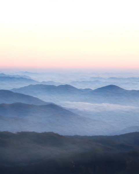 Honpo YL | Silent Horizon