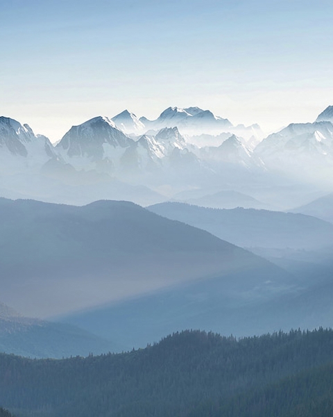 Honpo YL | Arctic Silence