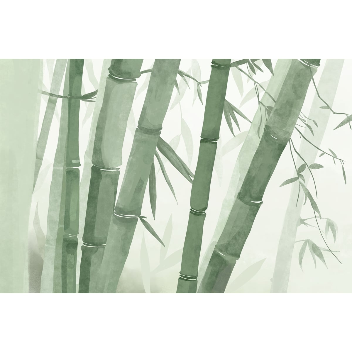 Honpo YL | Bamboo Grove Honpo YL | Bamboo Grove