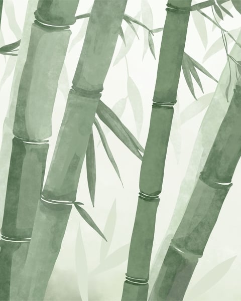 Honpo YL | Bamboo Grove
