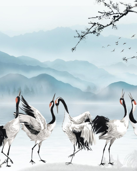 Honpo YL | Celestial Dance Honpo YL | Celestial Dance