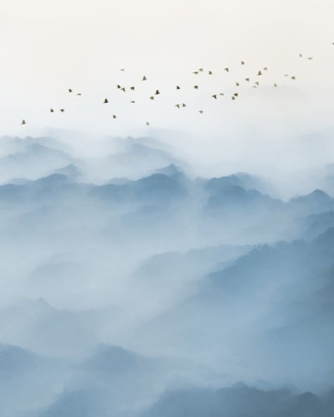 Honpo YL | Cloud Valley