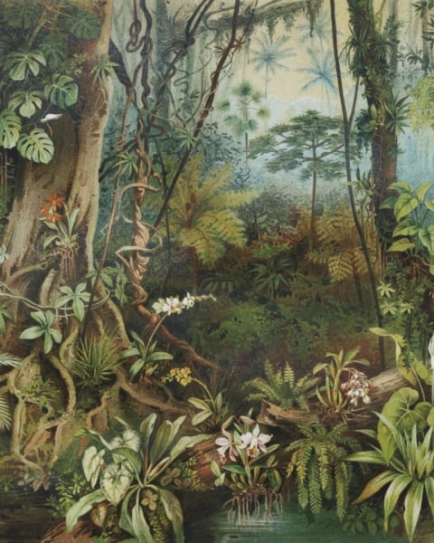 Honpo YL | Emerald Depths