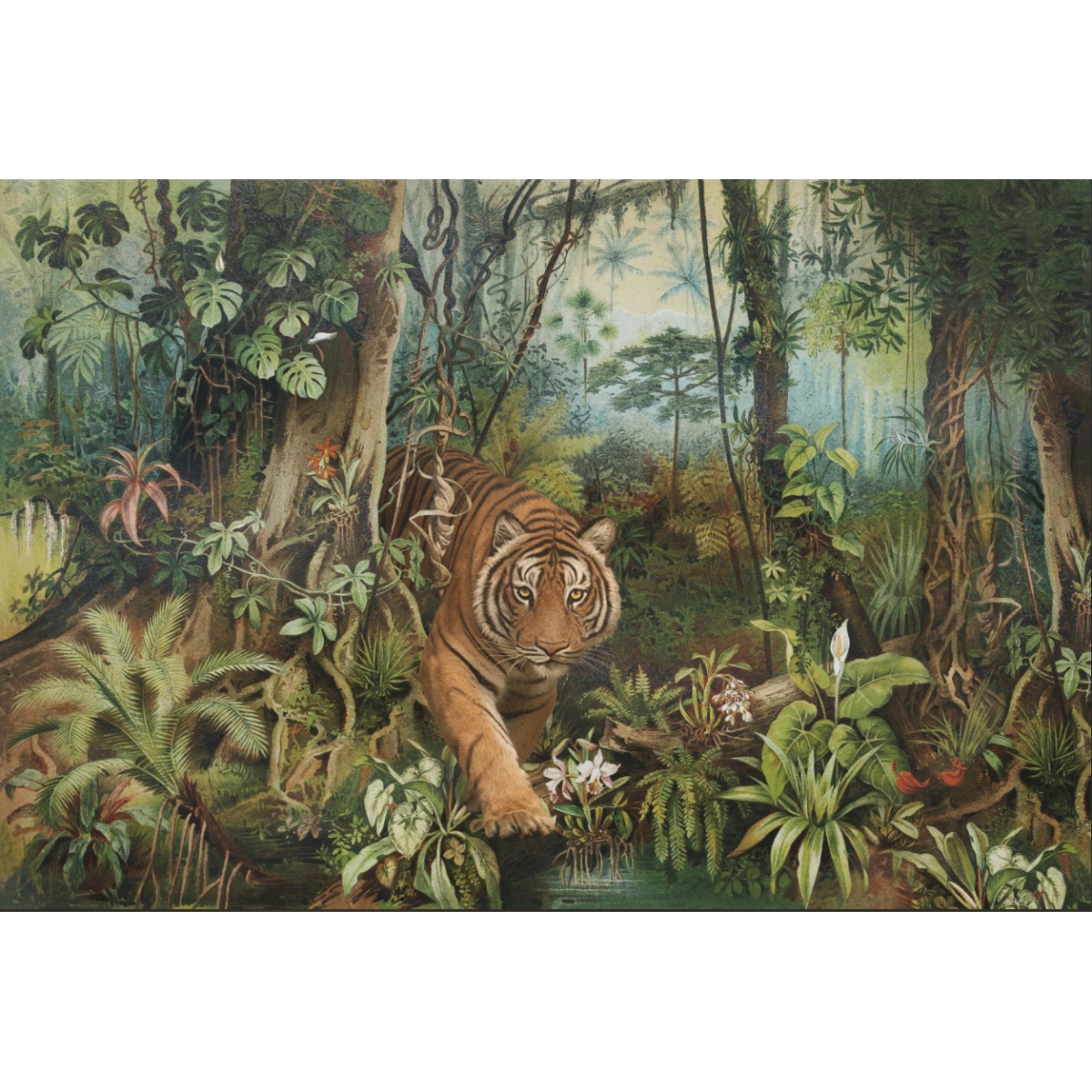 Honpo YL | Jungle Stroll Honpo YL | Jungle Stroll